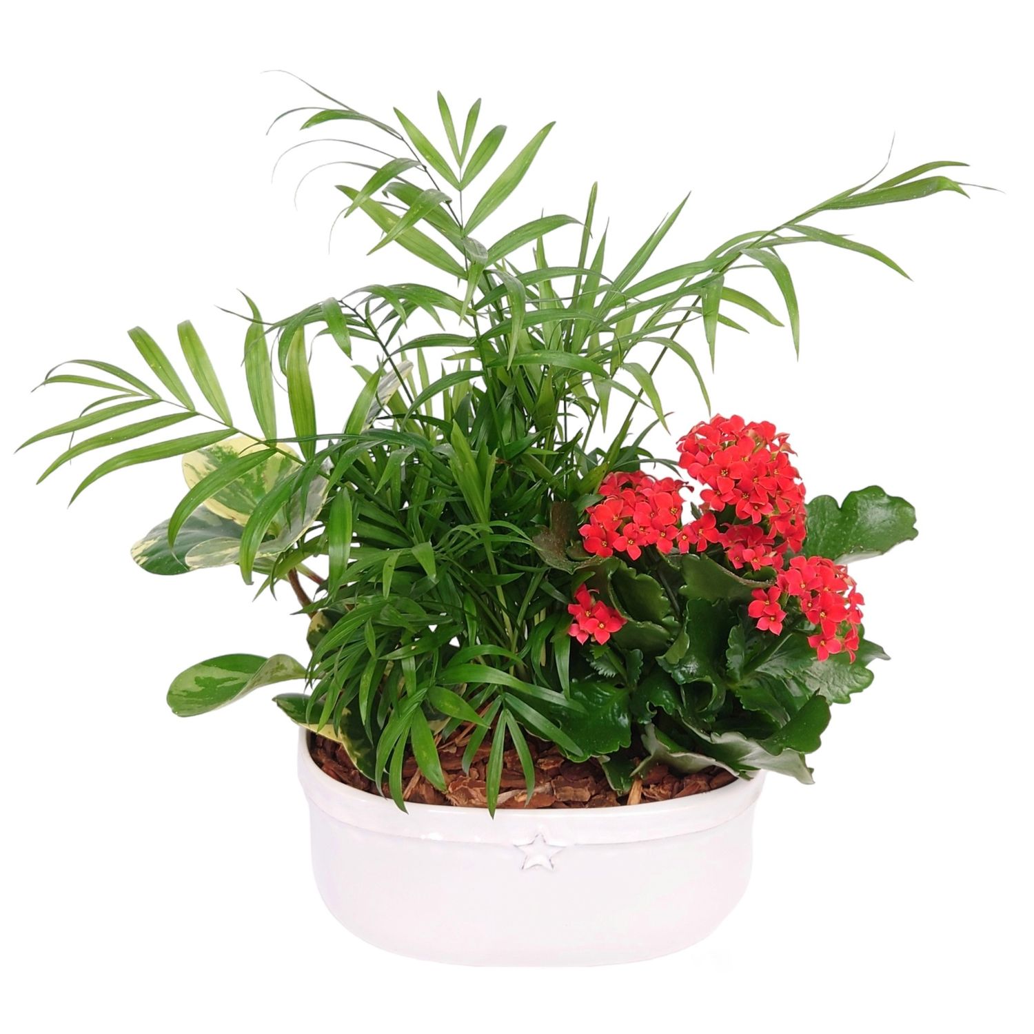 Harmony Planter