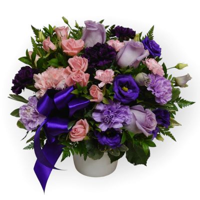 Purple Blush