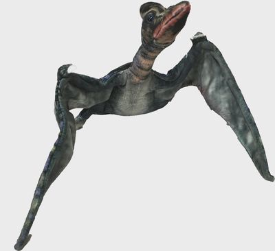 26&quot; Pterosaur Dinosaur