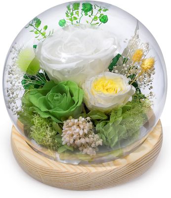 Preserved Rose Globe Green
