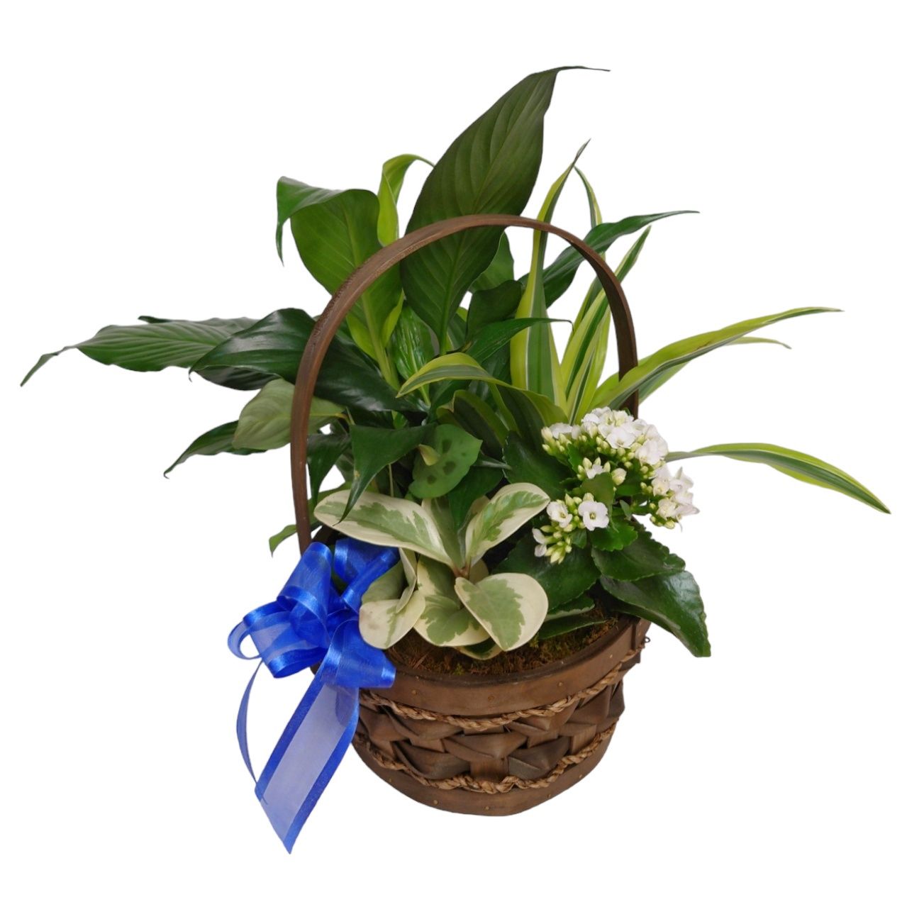 Basket of Endurance