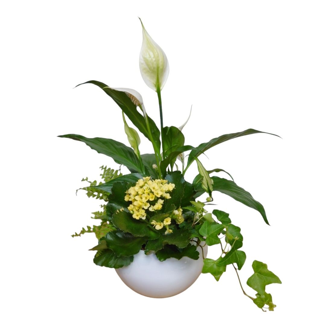 Flourishing Garden