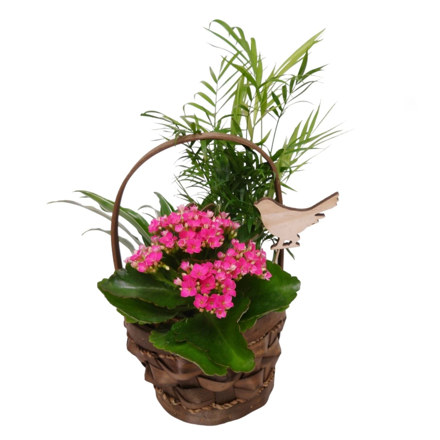 Just For You Tropical Planter Basket