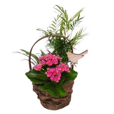 Just For You Tropical Planter Basket