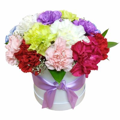 Galant Carnation Hatbox