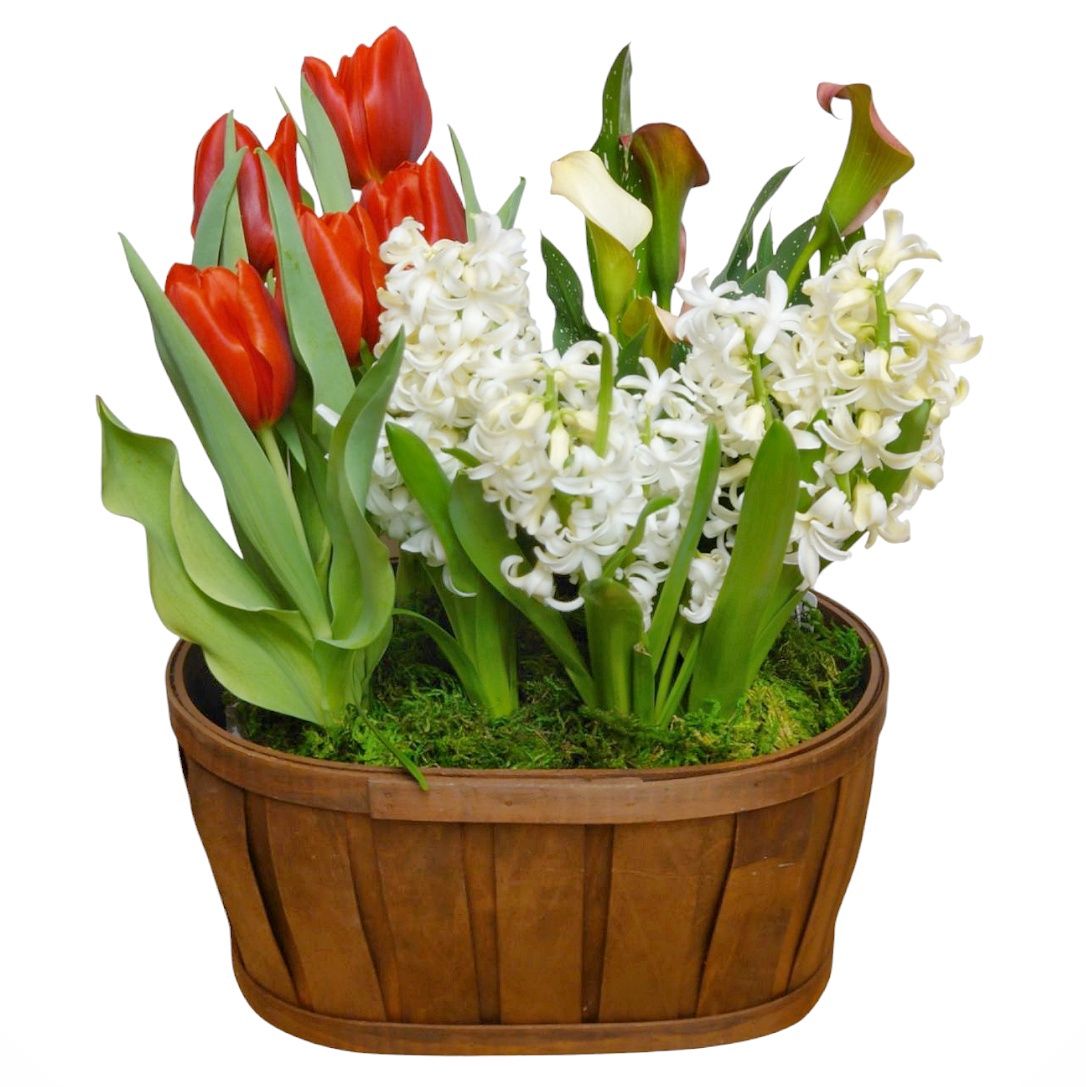 Spring Bulbs Wicker Basket