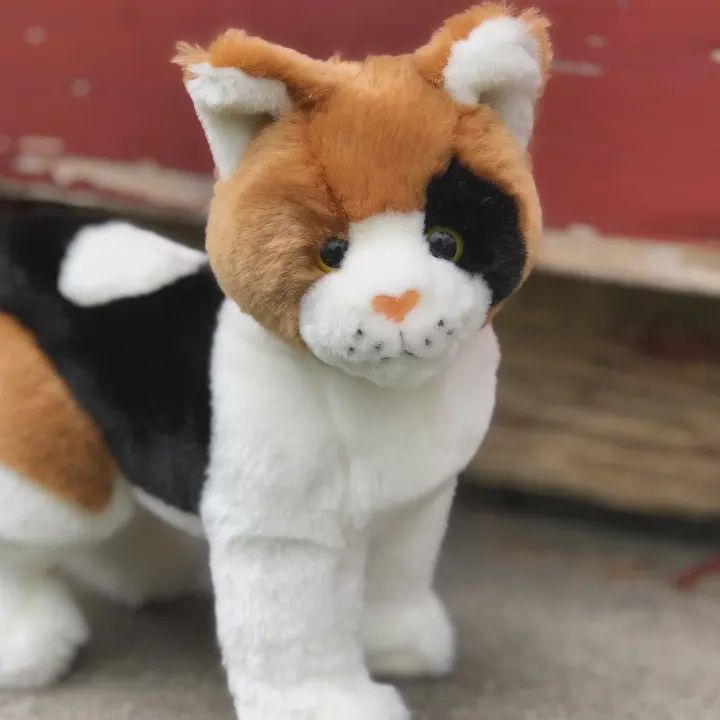 Pixel the Calico Cat