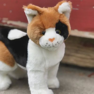 Pixel the Calico Cat