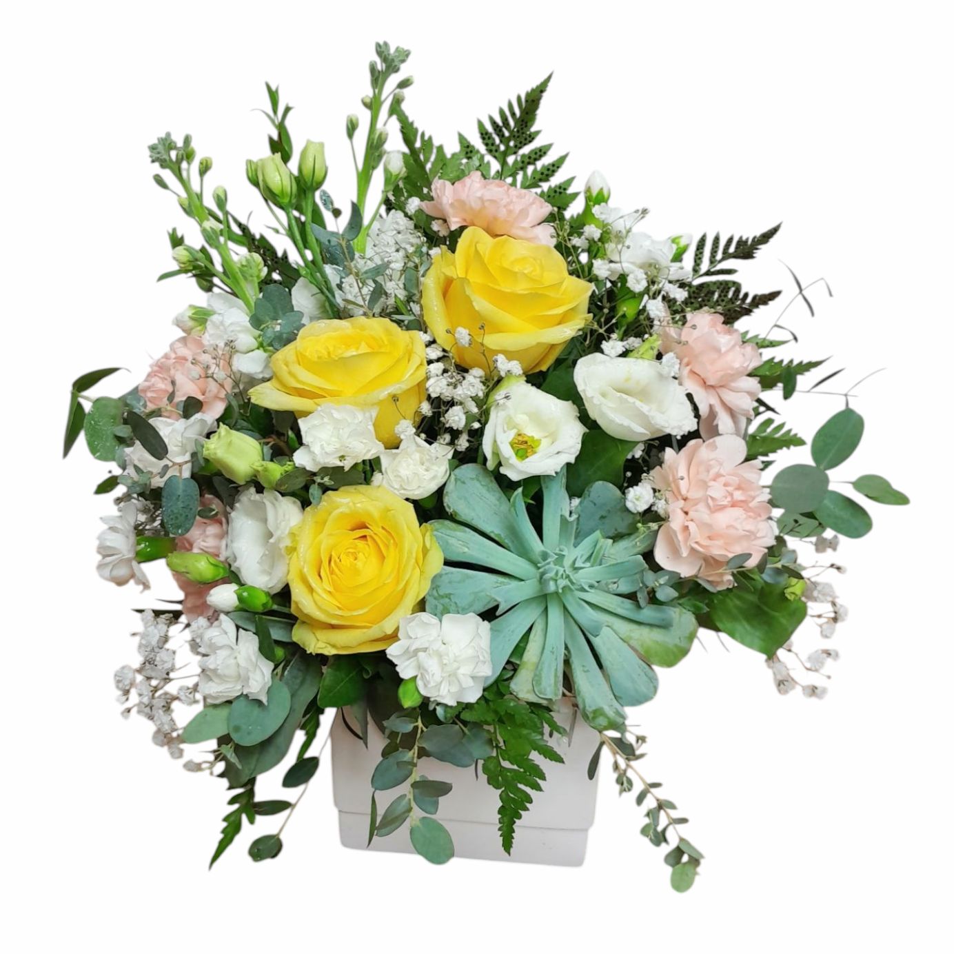 Sunny Side Flowers and Succulent Arrangement