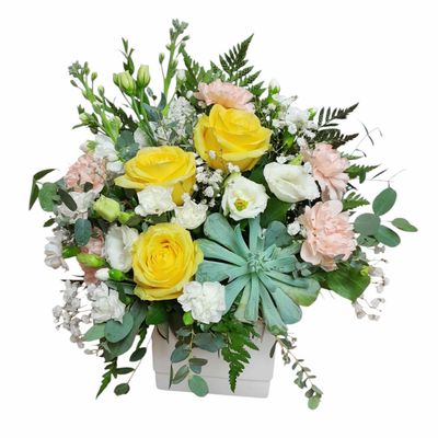 Sunny Side Flowers and Succulent Arrangement