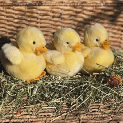 Mini Yellow Duck Plush