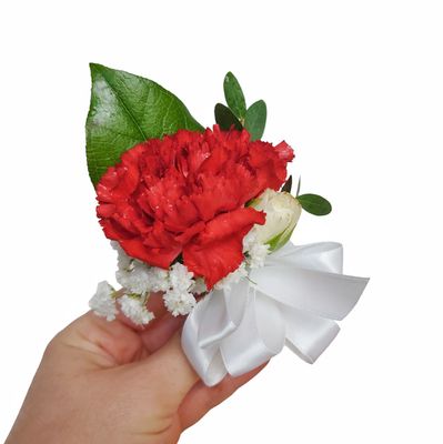 Red and White Carnation  Boutonniere