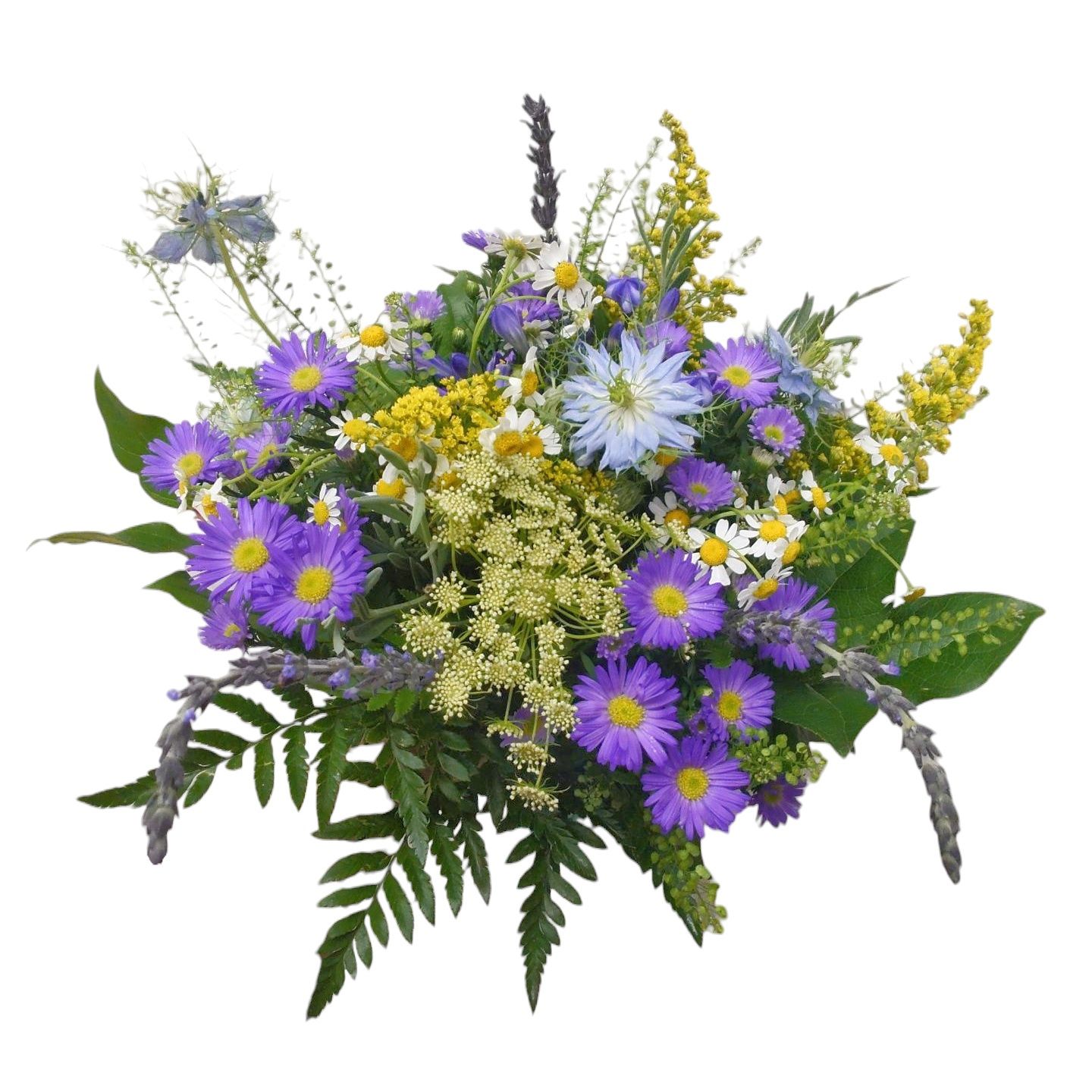 Wild Flower of the Season
