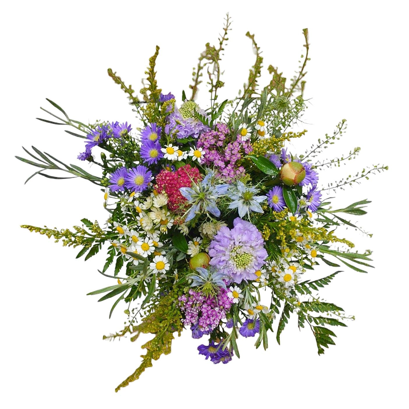 Wild Flower of the Season