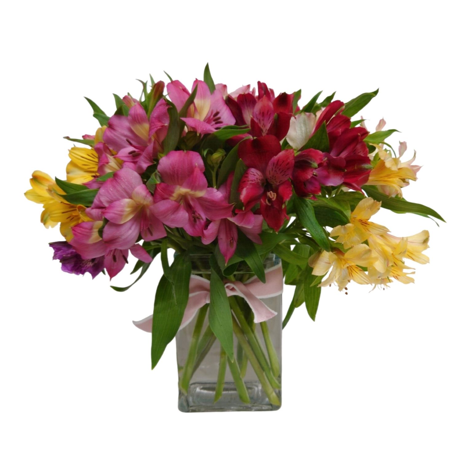 Summer Lilies