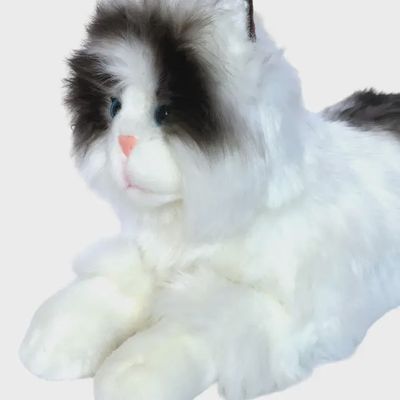 Ragdoll kitten plush in floppy pose from angle