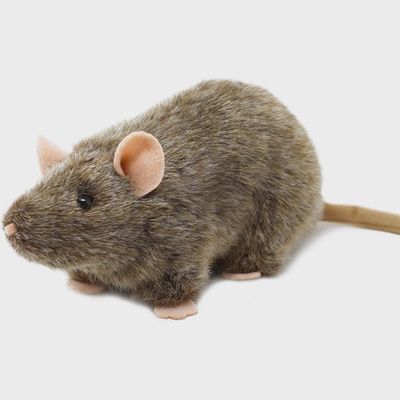 Reuben the Rat plush stuffed animal with realistic details