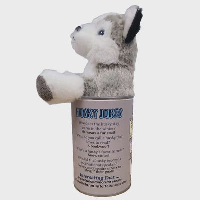 Peluche husky sortant de la conserve décorative vue de face