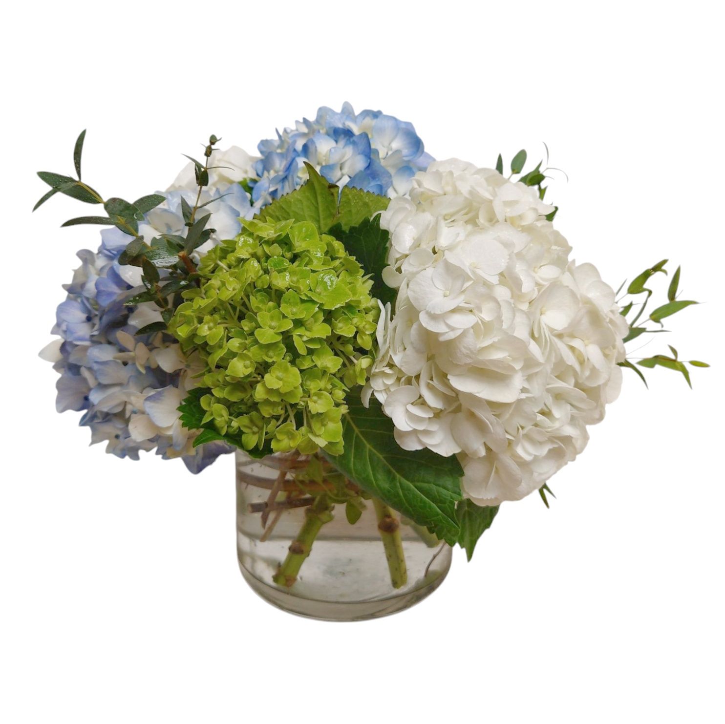 Timeless Hydrangeas