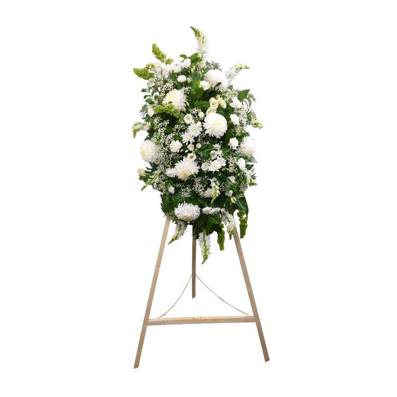 Sympathy Collection