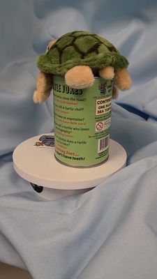 Sea turtle plush toy sitting on top of canned gifts container