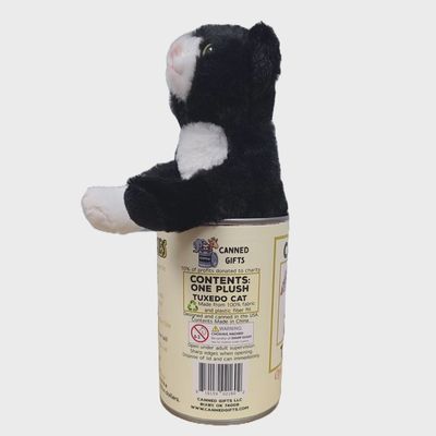 Chat tuxedo en peluche sortant de la boîte avec l’étiquette avant