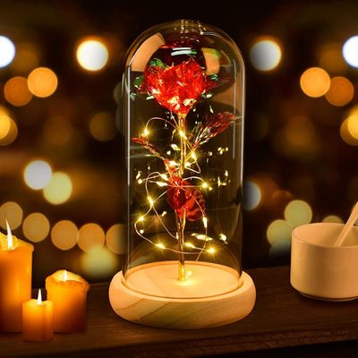 Eternal Red Rose Globe