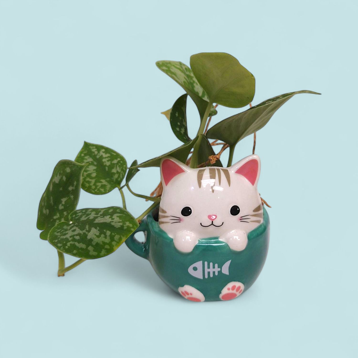 Cat in a Cup Novelty, style: Cat in a Cup Aqua