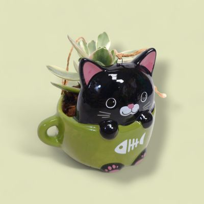 Cat in a Cup Novelty