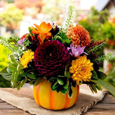Pumpkin Flare bouquet with dahlias, chrysanthemums, freesia and greenery in a cement pumpkin
