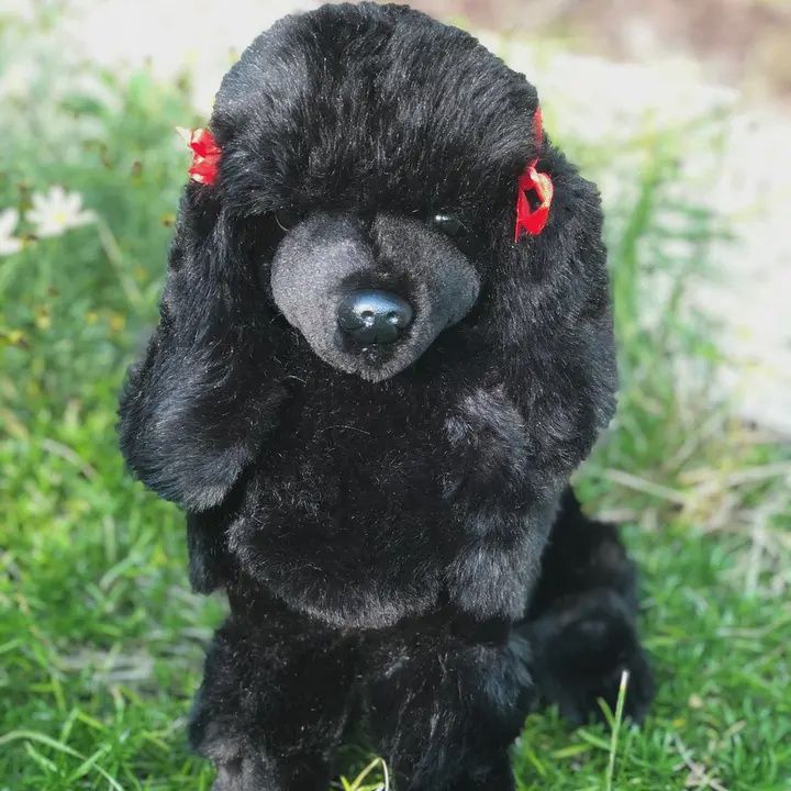 Bordeaux Black Poodle Stuffed Animal