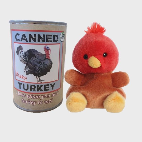 Canned Turkey Plushie