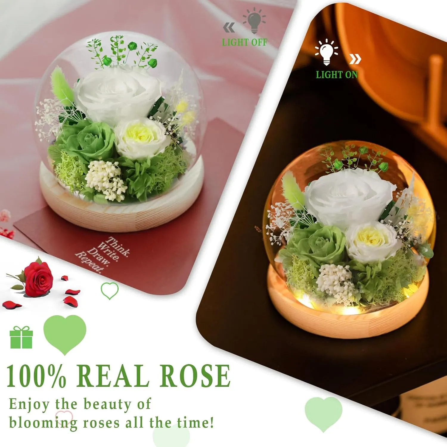 Preserved Rose Globe Green