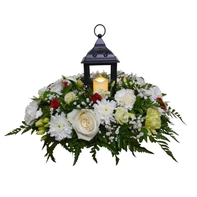 Light of Hope in Color