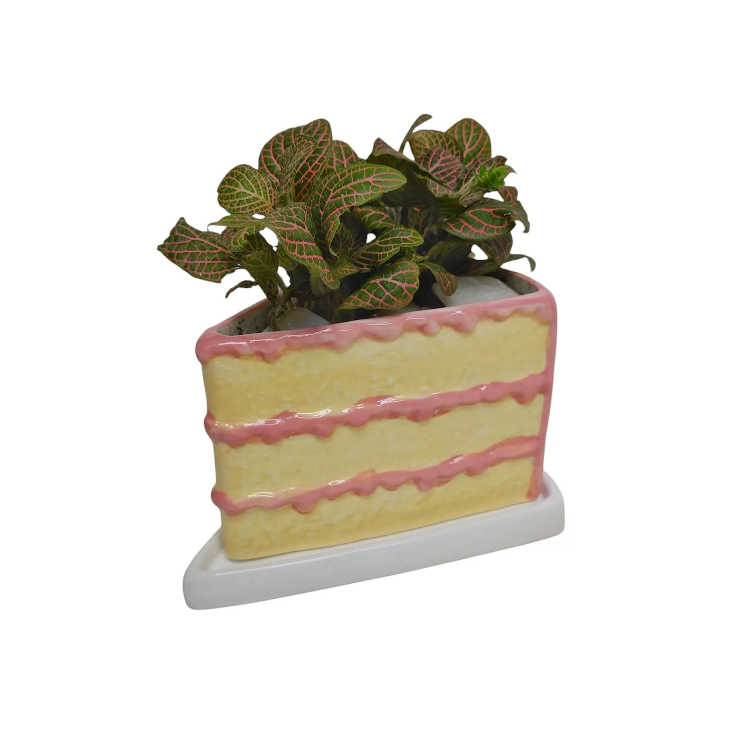Birthday Cake Planter