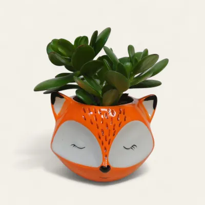 Fox Jade Planter