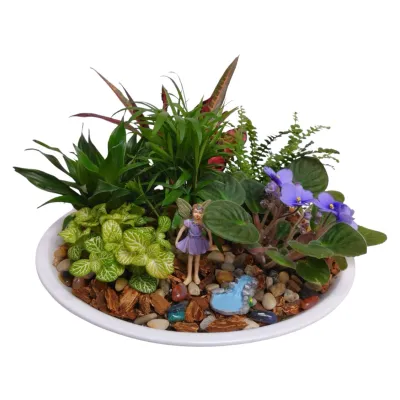 Annabella  Fairy  Garden