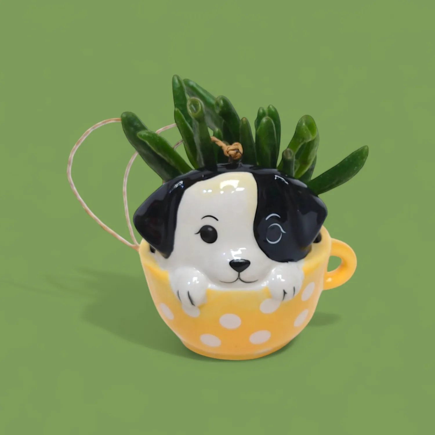 Pup in a Cup Novelty Plant