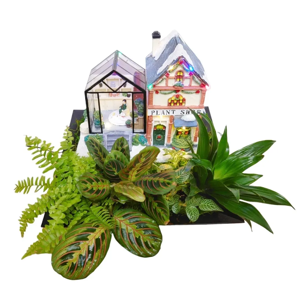 The Plant Shop Design