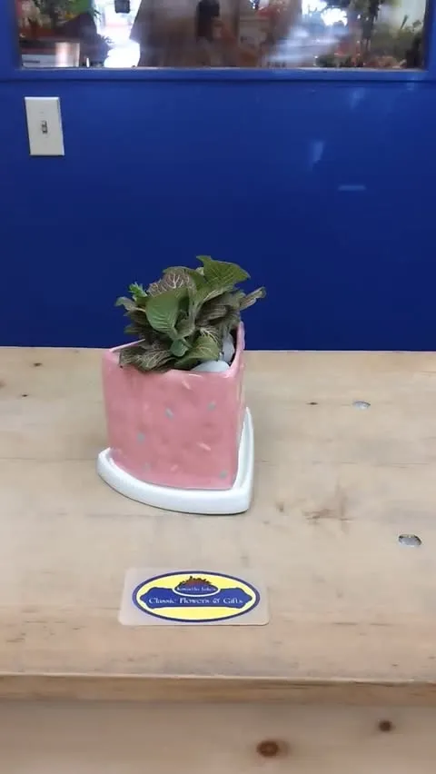 Birthday Cake Planter