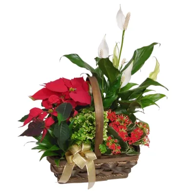Joyful Christmas Basket Planter
