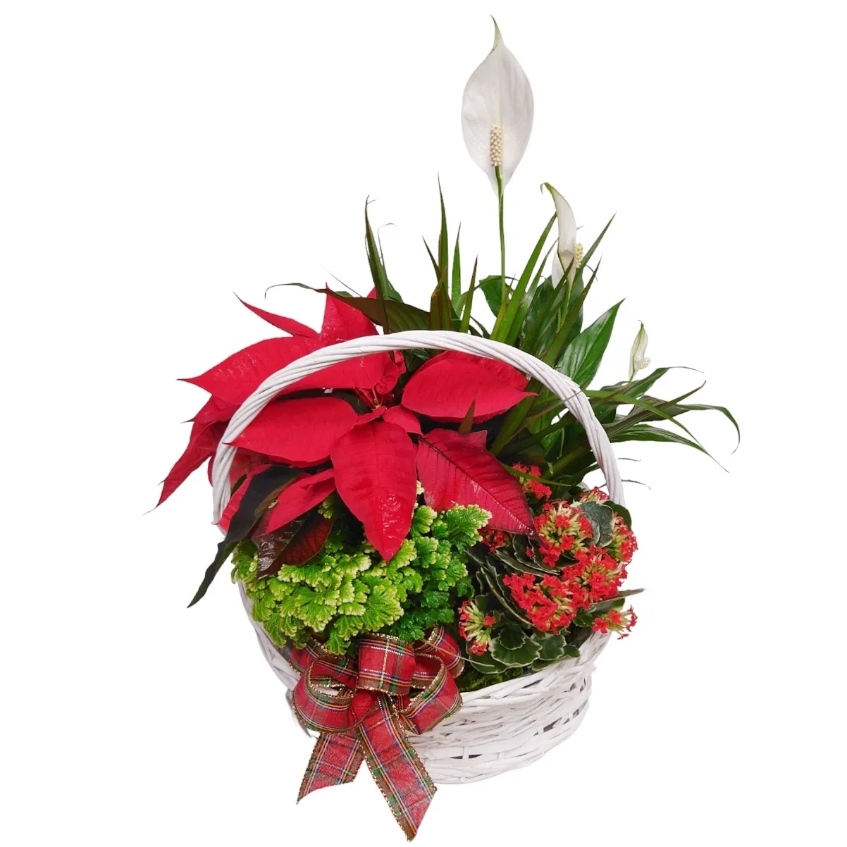 Poinsettia Christmas Basket