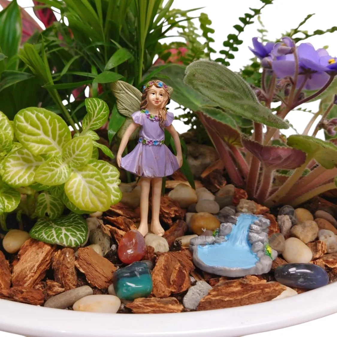 Annabella  Fairy  Garden