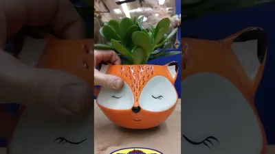 Fox Jade Planter