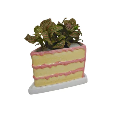 Birthday Cake Planter