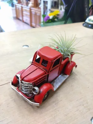 Mini Truck Air Plant