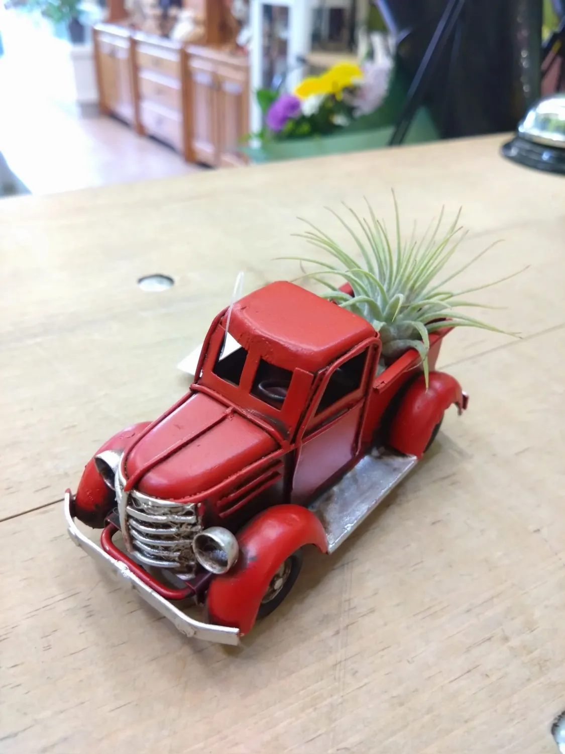 Mini Truck Air Plant
