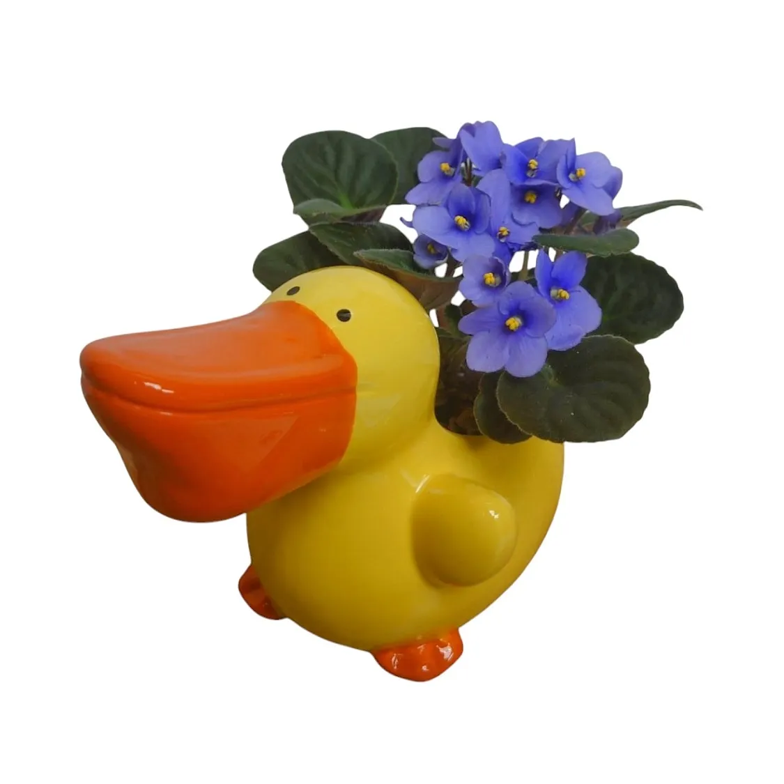 Duck Flowering Planter