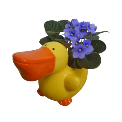 Duck Flowering Planter