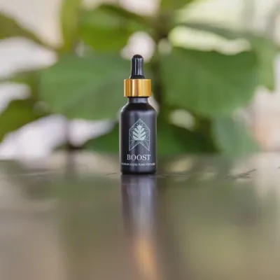 Boost Plant Fertilizer